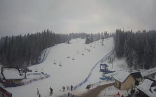 Suche ski dolna stacja - 01-02-2026 14:12