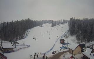 Suche ski dolna stacja - 01-02-2026 14:26