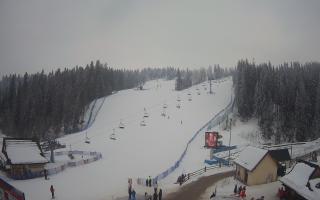 Suche ski dolna stacja - 01-02-2026 14:33