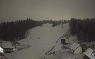 Suche ski dolna stacja - 02-02-2026 00:53