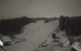 Suche ski dolna stacja - 02-02-2026 01:21