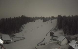 Suche ski dolna stacja - 02-02-2026 01:28