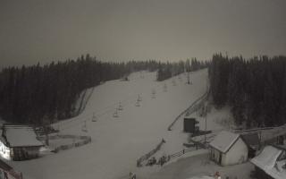 Suche ski dolna stacja - 02-02-2026 01:35