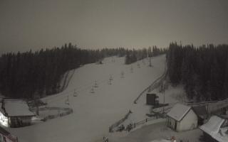 Suche ski dolna stacja - 02-02-2026 01:42