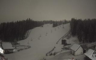 Suche ski dolna stacja - 02-02-2026 01:56