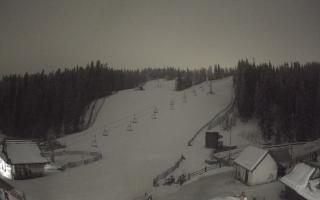 Suche ski dolna stacja - 02-02-2026 02:38