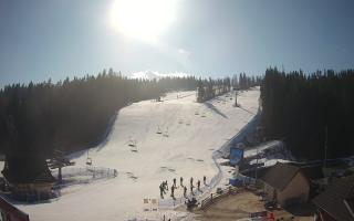 Suche ski dolna stacja - 16-03-2026 08:23