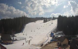 Suche ski dolna stacja - 16-03-2026 10:43