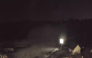 Suche ski dolna stacja - 21-03-2026 18:14