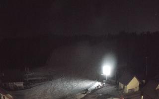 Suche ski dolna stacja - 21-03-2026 18:28