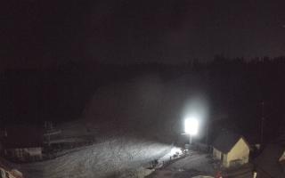 Suche ski dolna stacja - 21-03-2026 18:35