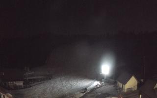 Suche ski dolna stacja - 21-03-2026 18:56