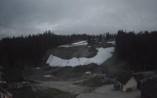 Suche ski dolna stacja - 01-05-2026 02:40
