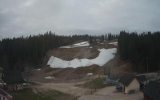 Suche ski dolna stacja - 01-05-2026 03:01