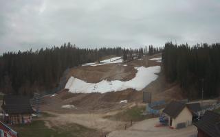 Suche ski dolna stacja - 01-05-2026 03:15