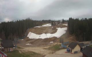 Suche ski dolna stacja - 01-05-2026 03:57