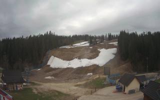 Suche ski dolna stacja - 01-05-2026 04:33
