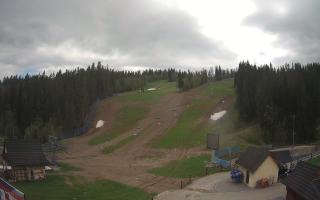 Suche ski dolna stacja - 13-05-2026 10:58