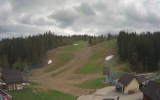 Suche ski dolna stacja - 13-05-2026 11:55