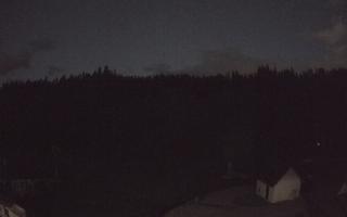 Suche ski dolna stacja - 14-06-2026 20:06