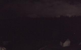 Suche ski dolna stacja - 14-06-2026 22:48