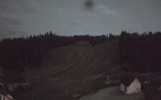 Suche ski dolna stacja - 01-08-2026 19:12