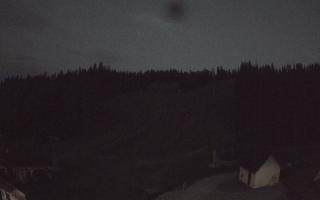 Suche ski dolna stacja - 01-08-2026 19:19