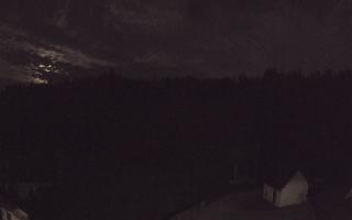 Suche ski dolna stacja - 01-08-2026 20:43