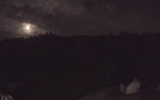 Suche ski dolna stacja - 01-08-2026 21:04