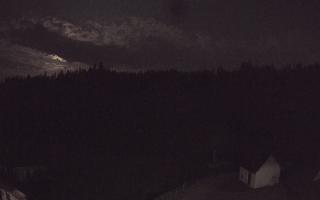 Suche ski dolna stacja - 01-08-2026 21:11