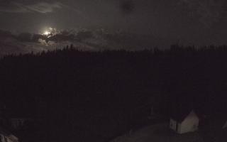 Suche ski dolna stacja - 01-08-2026 21:18