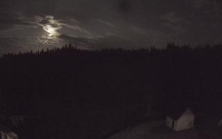 Suche ski dolna stacja - 01-08-2026 21:25