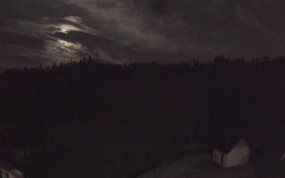 Suche ski dolna stacja - 01-08-2026 21:32