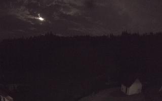 Suche ski dolna stacja - 01-08-2026 21:39