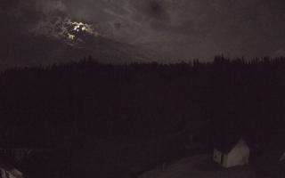 Suche ski dolna stacja - 01-08-2026 21:46