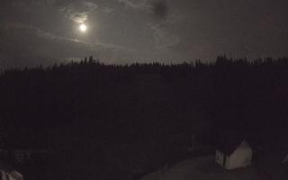 Suche ski dolna stacja - 01-08-2026 21:53