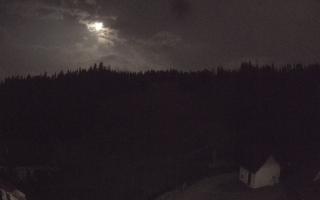 Suche ski dolna stacja - 01-08-2026 22:00