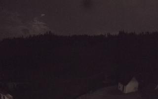 Suche ski dolna stacja - 01-08-2026 22:08