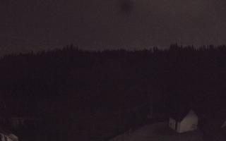 Suche ski dolna stacja - 01-08-2026 22:15