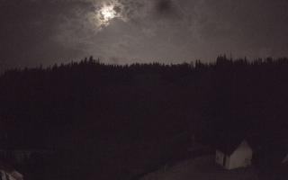 Suche ski dolna stacja - 01-08-2026 22:29