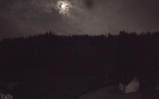 Suche ski dolna stacja - 01-08-2026 22:36