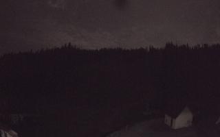Suche ski dolna stacja - 01-08-2026 23:04