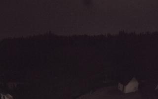Suche ski dolna stacja - 01-08-2026 23:25