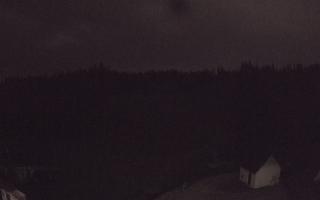 Suche ski dolna stacja - 01-08-2026 23:53