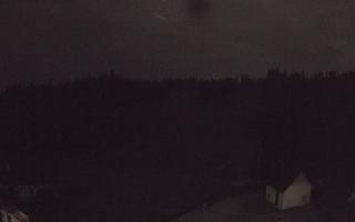 Suche ski dolna stacja - 02-08-2026 00:28