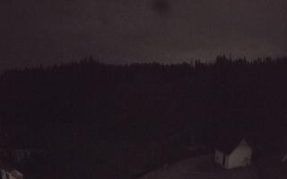 Suche ski dolna stacja - 02-08-2026 01:03