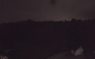 Suche ski dolna stacja - 02-08-2026 01:10