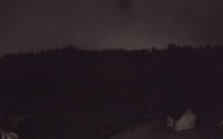 Suche ski dolna stacja - 02-08-2026 01:32