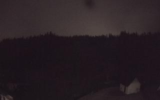 Suche ski dolna stacja - 02-08-2026 01:39