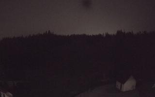 Suche ski dolna stacja - 02-08-2026 01:53
